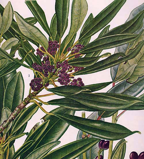 �q�����Y���n