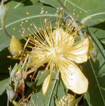 �r���E���i�M