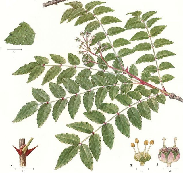 �T���V��