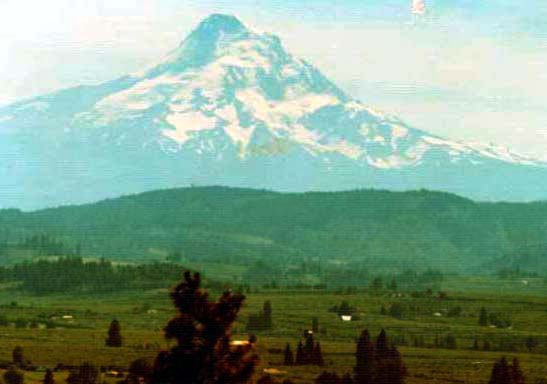 Mt. Hood