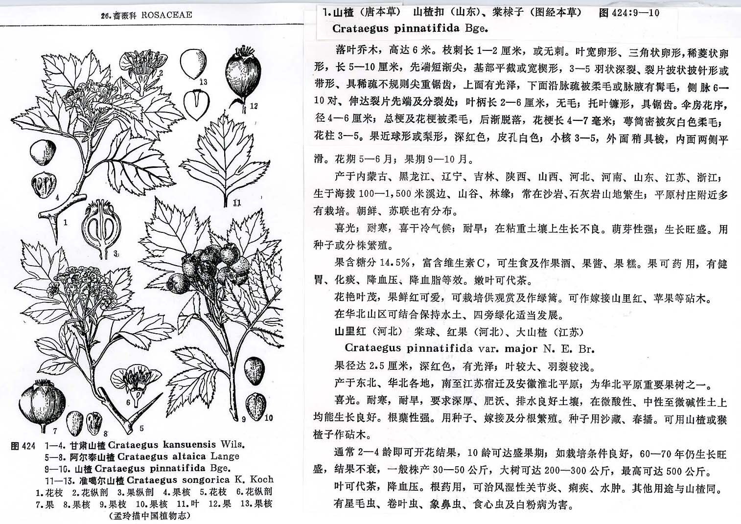 �����T���U�V�A�J�K�V