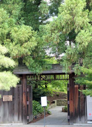 Bonsai@Garden