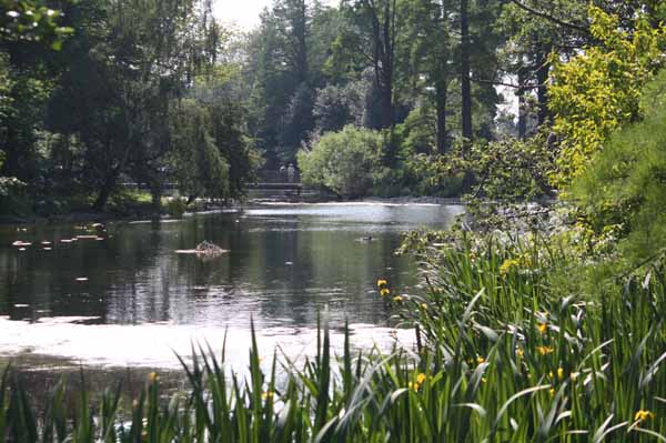 Sackler Crossing & Pond